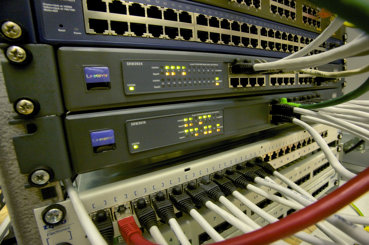 cables going into switches